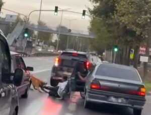 Sakarya’da zinciri kopuk köpek yolda yürüyen adama saldırdı