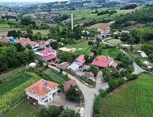 Samsun’da sonbahar dönemi şap ve brusella aşılama çalışması yürütülüyor