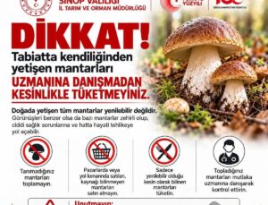 Sinop İl Tarım ve Orman Müdürlüğü doğa mantarlarındaki ölümcül riske karşı uyardı