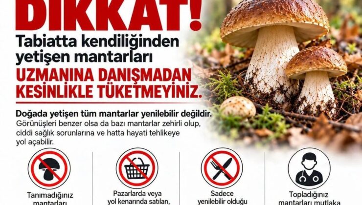 Sinop İl Tarım ve Orman Müdürlüğü doğa mantarlarındaki ölümcül riske karşı uyardı