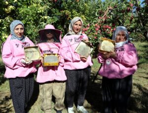 Van Gevaş’ta kadın arıcılar devlet desteğiyle kara kovan balı hasadına başladı