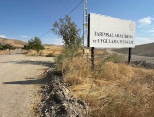 Yozgat Bozok Üniversitesi dışa bağımlılığı azaltacak etlik piliç projesi başlattı