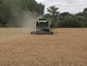 Yozgat’ta denemede arpada dekara 763 kilograma kadar verim alındı