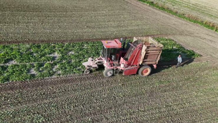 Yozgat’ta şekerpancarı hasadı başladı, çiftçi ton başına 5 bin lira fiyat bekliyor