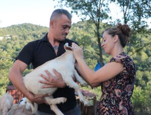 Zonguldak’ta emekli maden işçisi 2 büyükbaş, 15 küçükbaş hayvanlı çiftlik kurdu