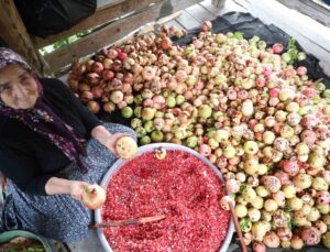 Adana Kozan’da 80 yaşındaki Yeter Yiğenoğlu, 1,5 ton narı nar ekşisine dönüştürüyor
