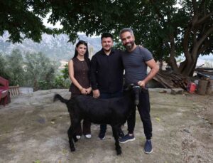 Adana Kozan’da damadın arkadaşı düğünde gelin ve damada süslenmiş keçi hediye etti