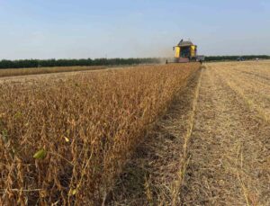 Adana’da 2026 soya hasadında biçerdöver ücretleri düz 350, kırıcılı 370 TL oldu