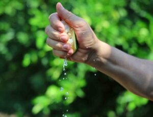 Adana’da limon 5 liraya düştü, Karadeniz kapalı olduğu için ihracat yapılamıyor