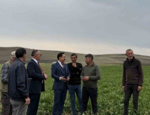 Akyaka Kaymakamı İsmail Demirtaş, şeker pancarı hasadında çiftçilerle buluştu