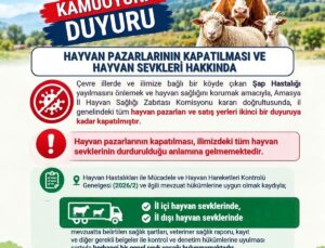 Amasya’da şap hastalığı nedeniyle hayvan pazarları ikinci duyuruya kadar kapatıldı