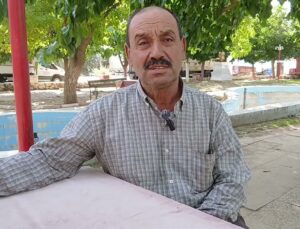 Aydın Karacasu’da zeytin üreticileri düşük fiyata isyan etti, alımlar durdu