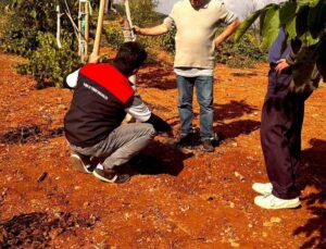 Bekilli’de üreticilere uygulamalı toprak numunesi alma eğitimi verildi