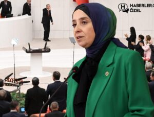Cumhurbaşkanı Erdoğan Meclis’e geldiğinde ayağa kalkacaklar mı? DEVA Partisi kararını verdi