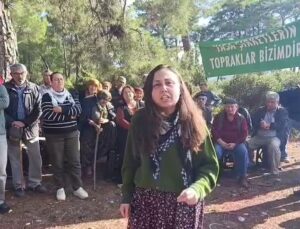 Danıştay 6. Dairesi Akbelen Ormanı’ndaki 679 parsel için açılan davayı reddetti