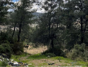 Danıştay’dan Akbelen kararı: 679 parseli acele kamulaştırılma kararı hukuka uygun