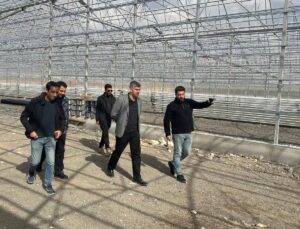 Diyadin Kaymakamı Korkusuz, jeotermal sera OSB’de çalışmaları yerinde inceledi
