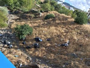 Diyarbakır Çermik’te Haburman Köprüsü çevresine dökülen çöplere tepki gösterildi