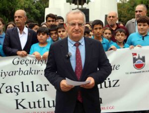 Diyarbakır’da Yaşlılar Günü için düzenlenen yürüyüş Anıt Park’ta sona erdi