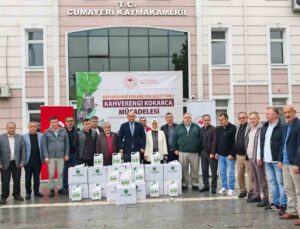 Düzce Cumayeri’de muhtarlara kahverengi kokarca için ilaç dağıtıldı