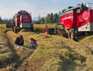 Düzce’de üreticilere anız yakmama uyarısı yapıldı, biçerdöver denetimleri sürüyor