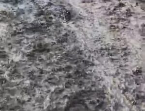 Elazığ’ın Palu ilçesine bağlı Kırbulak köyünde şiddetli yağış sonrası sel oluştu
