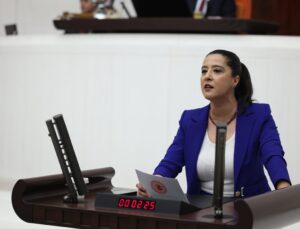 EMEP’li Karaca, 125 kişinin öldüğü İskenderun hastanesi soruşturmasını TBMM’ye taşıdı