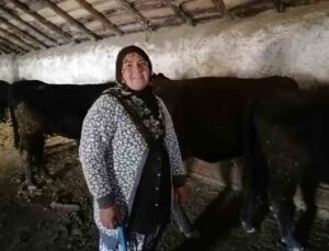 Erzurum Hınıs’ta destek projesinde 34 yetiştirici ilk buzağılarını aldı