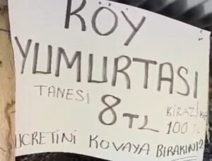 Erzurum İspir’de yol kenarındaki satıcısız tezgâhta 260 TL kovaya bırakıldı