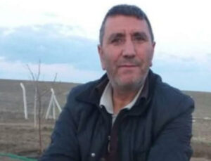Feci kaza! Kesilen ağaç üzerine düştü!
