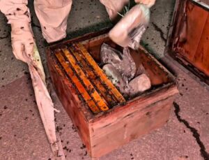 Hakkari’de peteklerin arasına gizlenmiş 91,1 kilogram uyuşturucu ele geçirildi