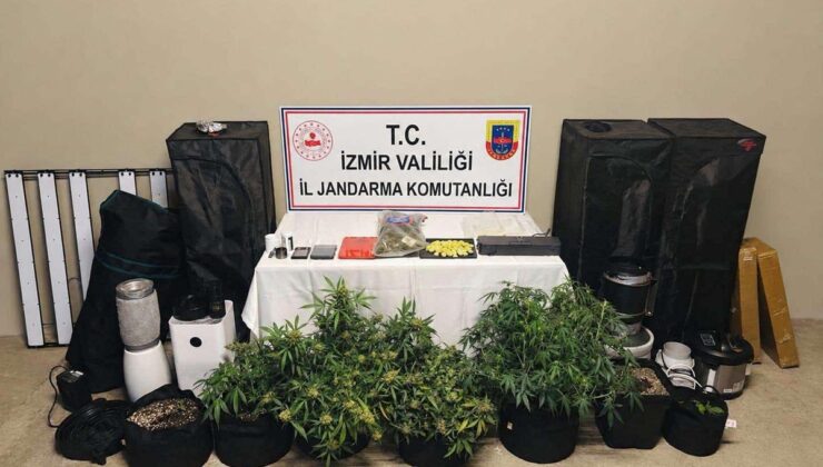İzmir Karşıyaka’da operasyonda 1 şüpheli gözaltına alındı, 7 kök skunk ele geçirildi