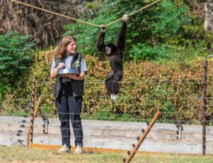 Kocaeli Darıca’da hayvanat bahçesi kapanınca 4 gibonun bakıcısı İzmir’e taşındı