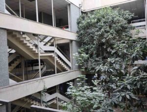 Konya’da 60 yıl önce açılan iş hanındaki yeni dünya ve incir ağaçları ilgi çekiyor