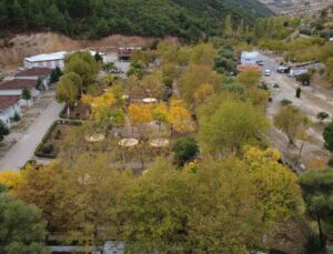 Manisa Demirci’de meşe ve kavak ağaçlarındaki sonbahar renkleri dronla görüntülendi