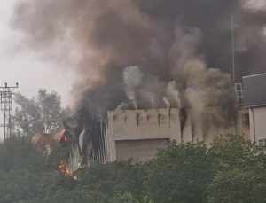 Mersin Tarsus’ta tütün işleme tesisinde çıkan yangına itfaiye müdahale ediyor