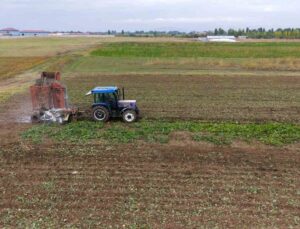 Muş’ta 1600 üretici pancar hasadına başladı, 2 buçuk milyar TL katkı bekleniyor