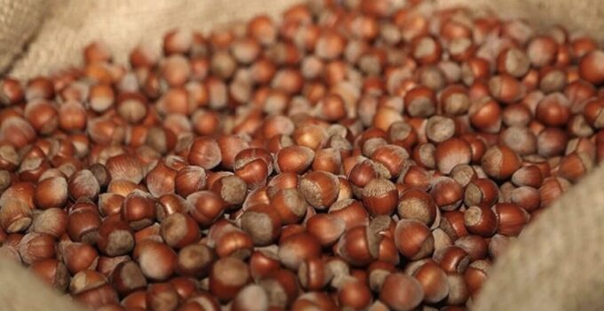 Rekabet Kurumu fındık sektörüne yönelik sıkı takibini sürdürüyor