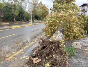 Sakarya’nın Karasu ilçesinde Darıçayırı Mahallesi’ni bu yıl 4’üncü kez su bastı