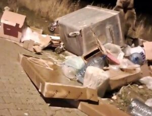 Sarıkamış’ta kış uykusu öncesi yiyecek arayan boz ayılar çöp konteynerlerine dadandı