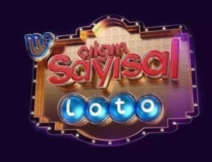 Sayısal Loto sonuçları açıklanıyor! 3 Ekim 2026 Milli Piyango Online Çılgın Sayısal Loto çekiliş sonuçları bilet sorgulama ekranı