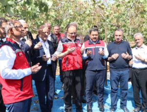Siirt Fıstığı Doğa ve Kültür Festivali düzenlendi