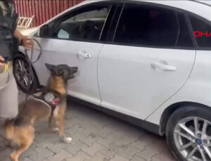 Siirt’te 51 kilo 800 gram esrar ele geçirildi