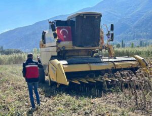 Simav’da TAKE ile yüzde 75 hibeli ayçiçeği alanlarında hasat incelemesi yapıldı