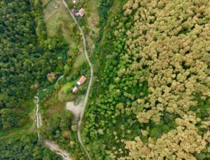 Sinop Türkeli’de sonbahar renkleriyle görsel şölen sunan ormanlar dronla görüntülendi