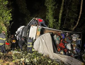 Sinop’ta sebze yüklü kamyonet ormanlık alana devrildi, 3 kişi yaralandı