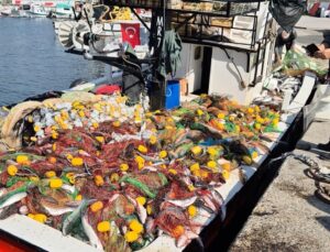 Tekirdağ’da balıkçılar Marmara’dan yaklaşık 1,5 ton kefalle limana döndü