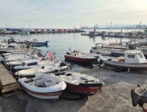 Tekirdağ’da fırtına dinince balıkçılar denize açıldı, palamutta bolluk var