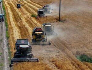 TİGEM 2 bin 116 ton mahsul buğday satacak
