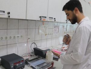 TÜBİTAK, kuraklığa dayanıklı çilek ve biber için yaklaşık 18 milyon lira destek verdi